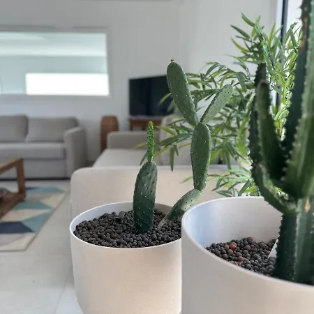 La Baie Des 2 Caps Tardinghen